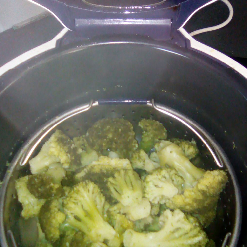 quels légumes pour une chienne en gestation